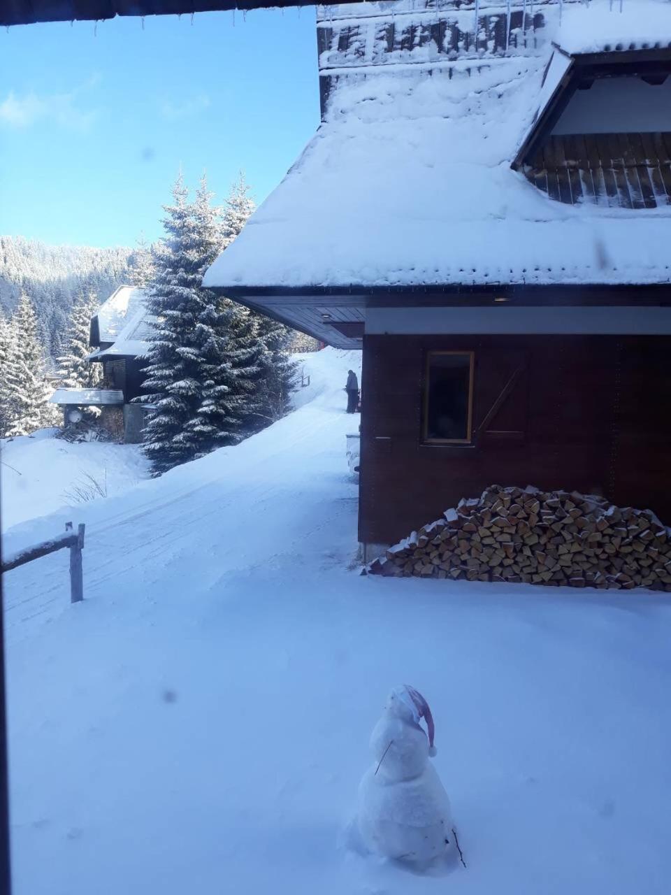 Holiday Home Elena Kopaonik Exterior foto
